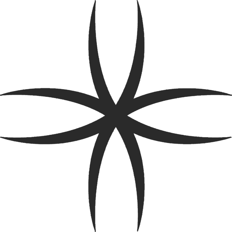 VIKASA